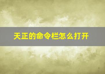 天正的命令栏怎么打开