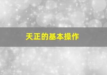 天正的基本操作