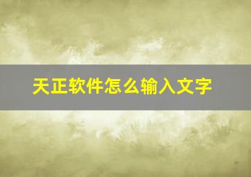 天正软件怎么输入文字