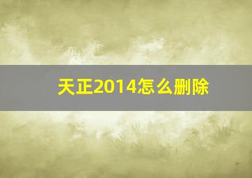 天正2014怎么删除