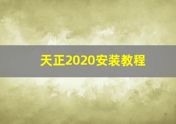 天正2020安装教程