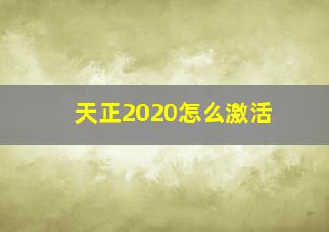 天正2020怎么激活