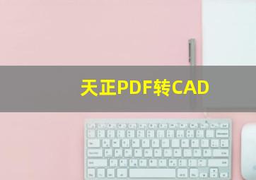 天正PDF转CAD