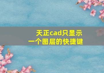 天正cad只显示一个图层的快捷键