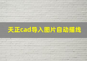 天正cad导入图片自动描线