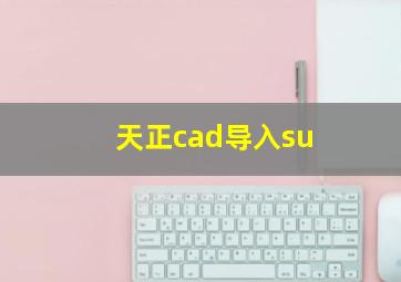 天正cad导入su