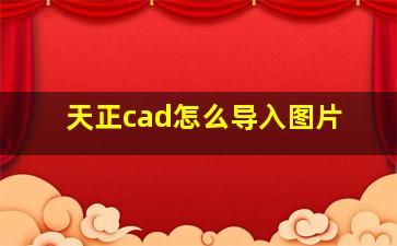 天正cad怎么导入图片