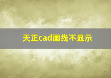 天正cad画线不显示