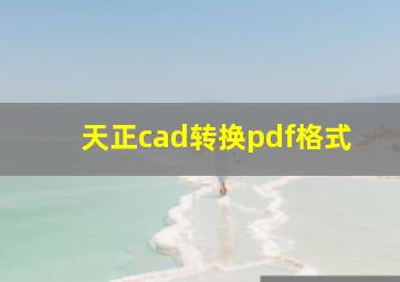 天正cad转换pdf格式