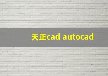 天正cad autocad