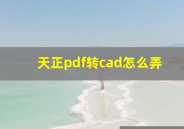 天正pdf转cad怎么弄