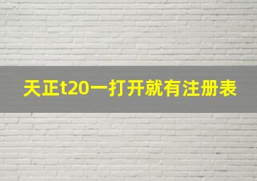 天正t20一打开就有注册表