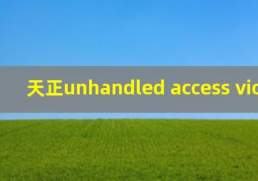 天正unhandled access violation