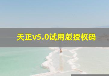 天正v5.0试用版授权码