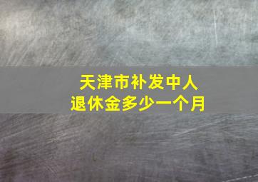 天津市补发中人退休金多少一个月