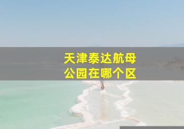 天津泰达航母公园在哪个区