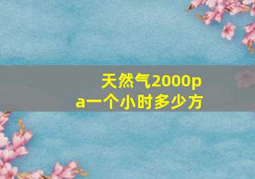 天然气2000pa一个小时多少方