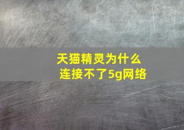 天猫精灵为什么连接不了5g网络