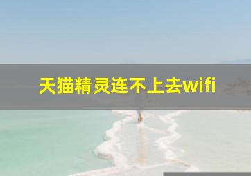 天猫精灵连不上去wifi