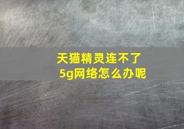 天猫精灵连不了5g网络怎么办呢