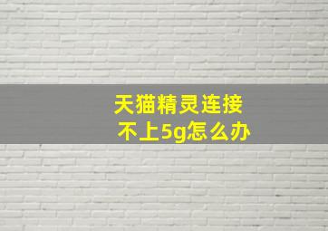 天猫精灵连接不上5g怎么办