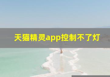 天猫精灵app控制不了灯