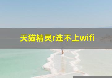 天猫精灵r连不上wifi