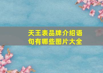 天王表品牌介绍语句有哪些图片大全