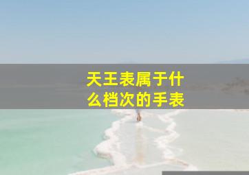 天王表属于什么档次的手表