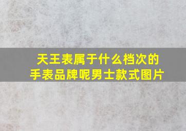 天王表属于什么档次的手表品牌呢男士款式图片