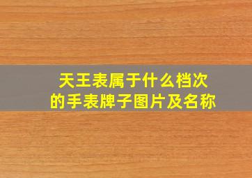 天王表属于什么档次的手表牌子图片及名称