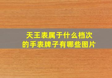 天王表属于什么档次的手表牌子有哪些图片