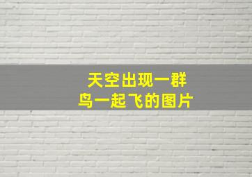 天空出现一群鸟一起飞的图片