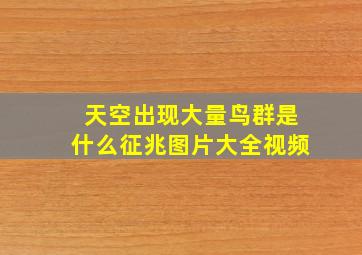 天空出现大量鸟群是什么征兆图片大全视频