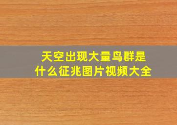 天空出现大量鸟群是什么征兆图片视频大全