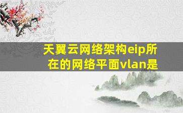 天翼云网络架构eip所在的网络平面vlan是