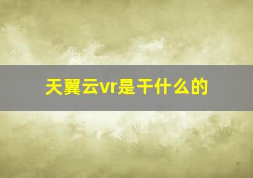 天翼云vr是干什么的