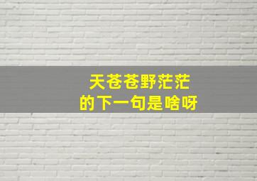 天苍苍野茫茫的下一句是啥呀