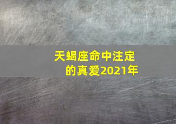 天蝎座命中注定的真爱2021年