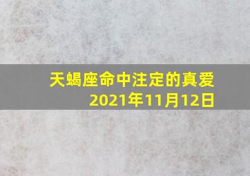 天蝎座命中注定的真爱2021年11月12日