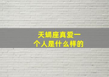 天蝎座真爱一个人是什么样的