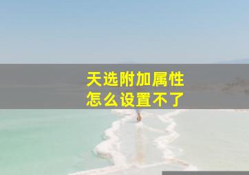 天选附加属性怎么设置不了