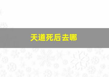 天道死后去哪