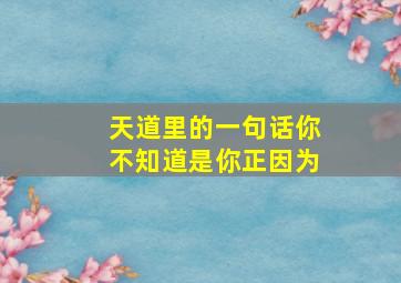 天道里的一句话你不知道是你正因为