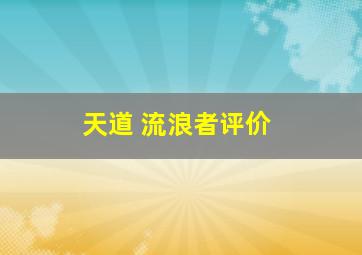 天道 流浪者评价