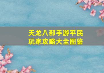 天龙八部手游平民玩家攻略大全图鉴