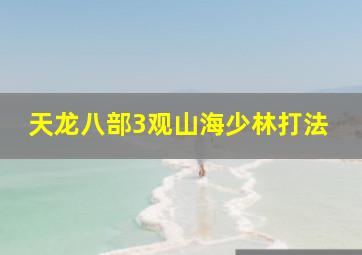 天龙八部3观山海少林打法