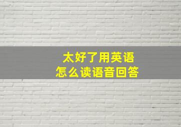 太好了用英语怎么读语音回答