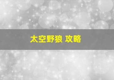 太空野狼 攻略