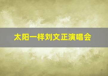 太阳一样刘文正演唱会